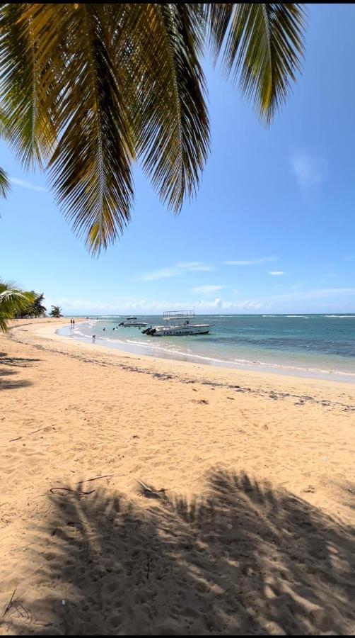 Lovely Beachfront 2 Bedrooms Condo With 2 Pools Las Terrenas Exterior foto